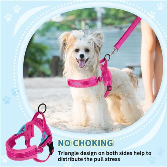 No Pull Small Dog Harness and Leash Set, Puppy Soft Vest Harness Neck & Chest - Picture 2 of 7